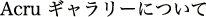 Acruギャラリーについて